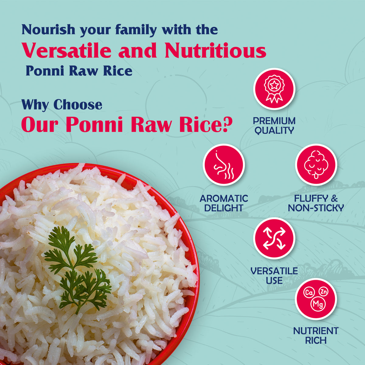 Ponni Raw Rice Chennai Rice