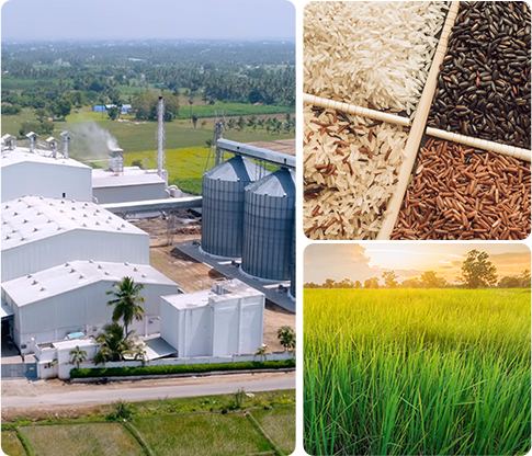 Rice company in chennai